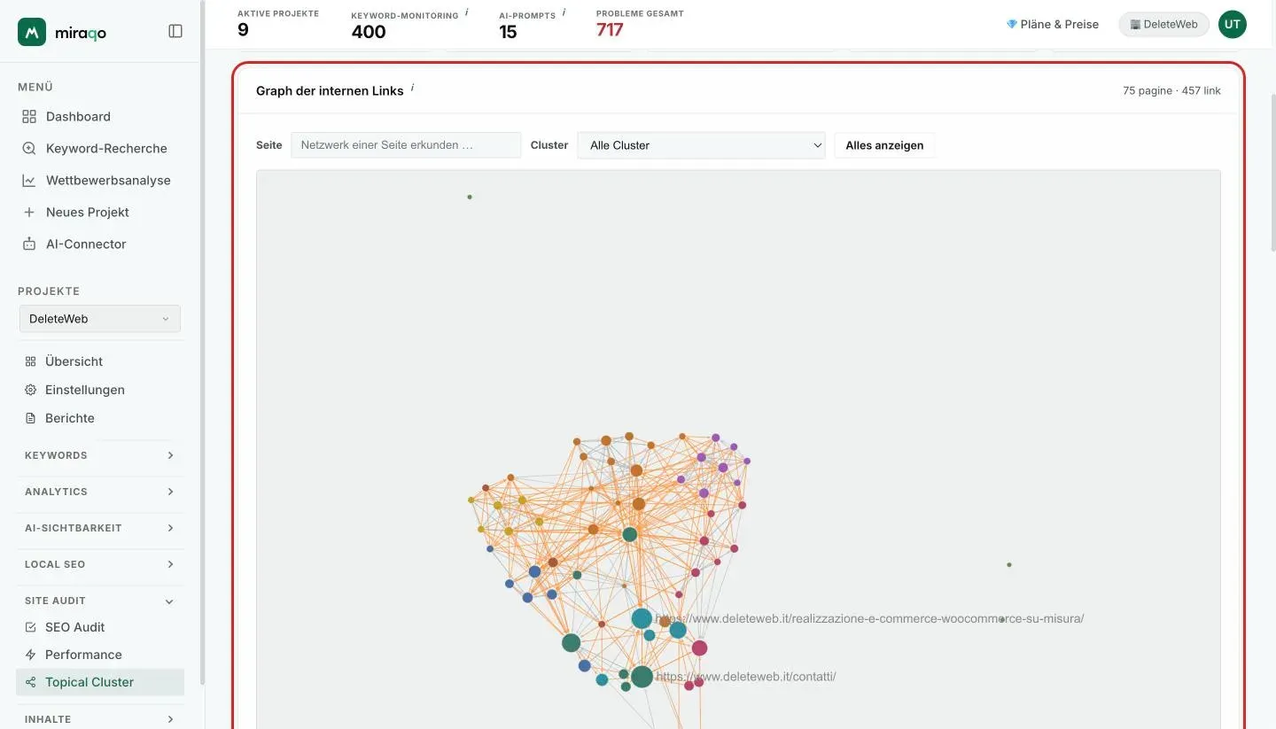 Die Karte Interner Link-Graph: die hervorgehobene Leiste mit dem Feld Seite, dem Menü Cluster und dem Button Alle anzeigen, und darunter der Graph mit den nach Cluster eingefärbten Knoten und den Kanten der Links