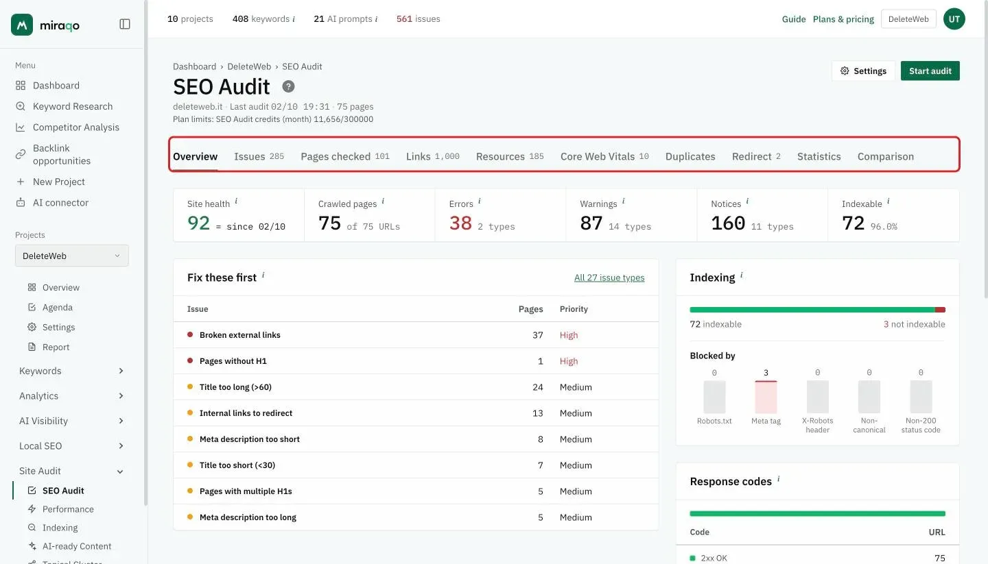 The report’s tab bar, highlighted below the SEO Audit title: Overview, Issues, Pages checked, Links, Resources, Core Web Vitals, Duplicates, Redirects, Statistics and Comparison, with the item count next to each tab
