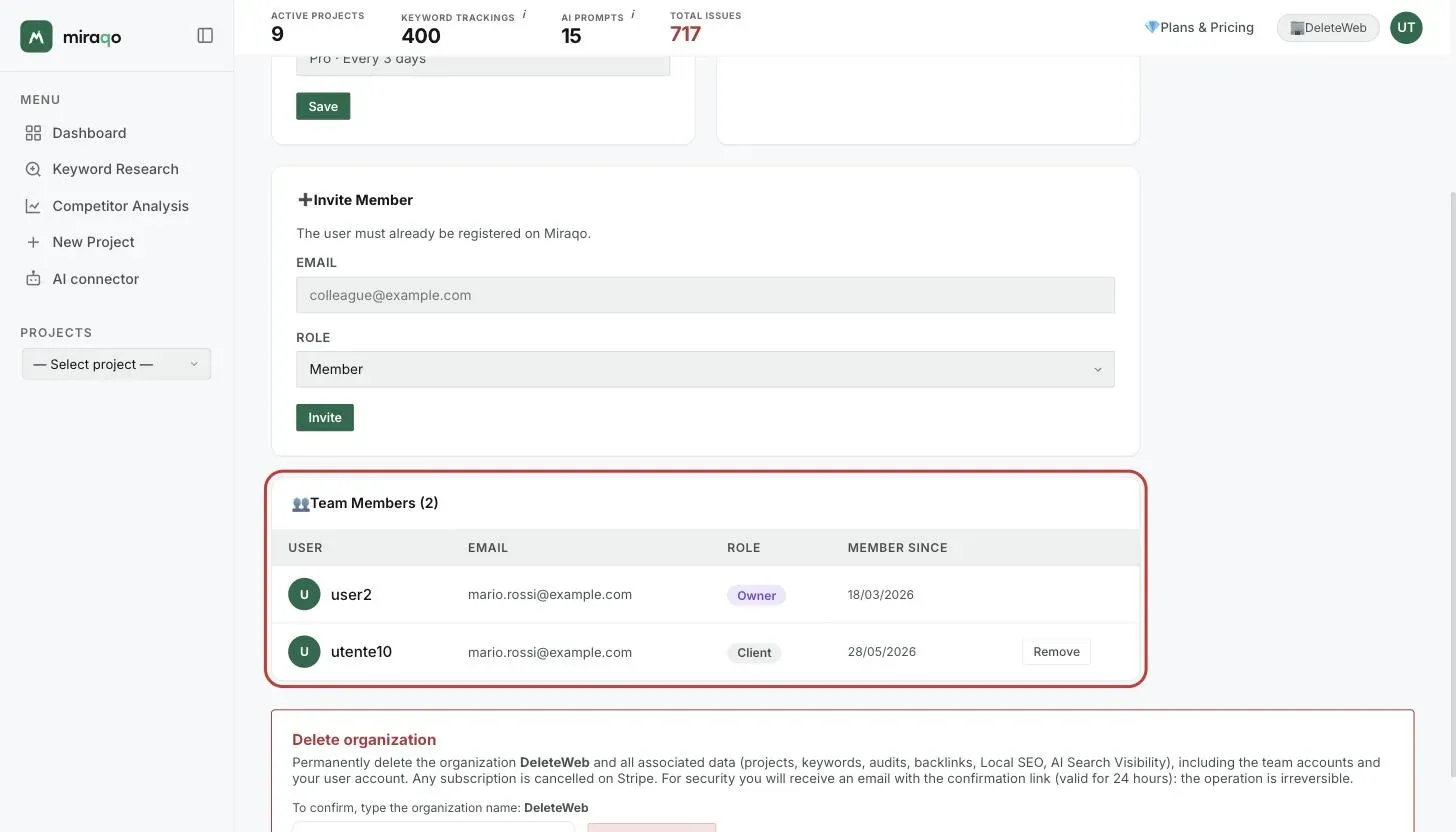 The Team Members card, highlighted: one row per member with user, email, role, joining date and the Remove button; below, the red Delete organisation zone