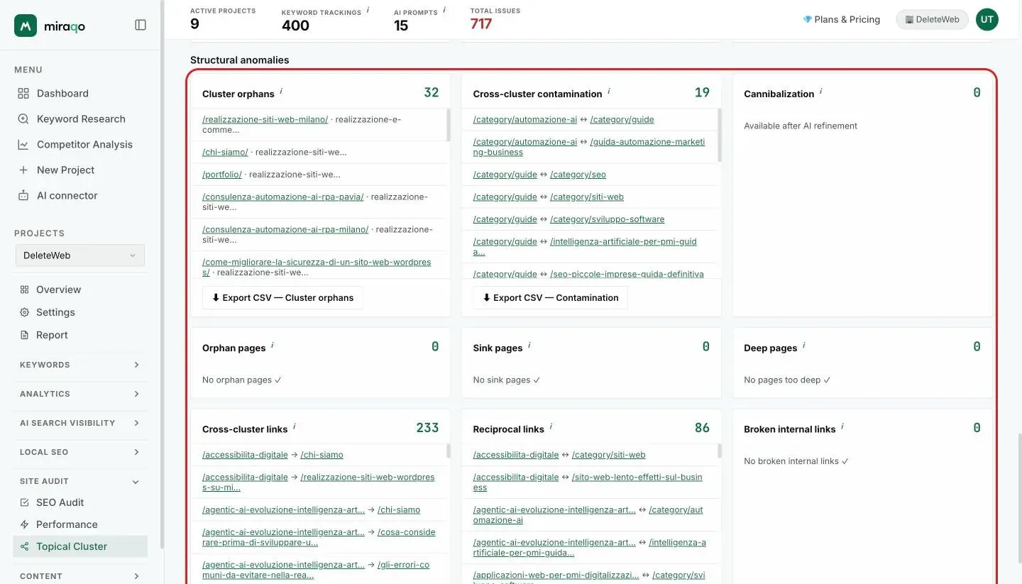 The Structural anomalies section: one card per issue with the count in the top right, the lists of pages or pairs and the Export CSV buttons for Cluster orphans and Contamination; cards with no anomalies show a checkmark